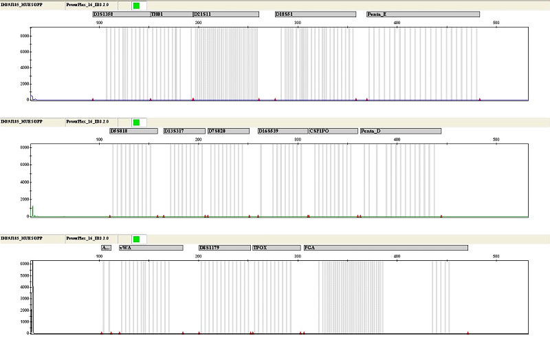 Representative electropherograms for direct amplification of DNA from buccal and blood samples preserved on various card types.
